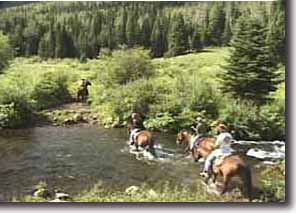 Deer Lake