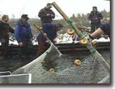 Catching Trout